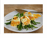 STUFFED SOLE - WILD