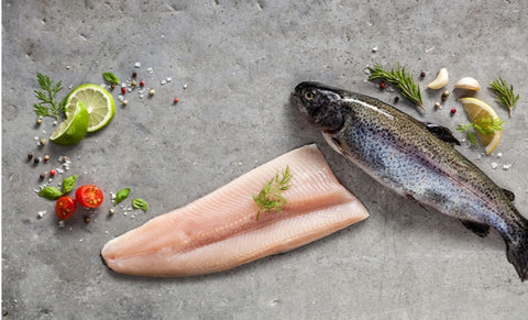 TROUT FILETS RAINBOW